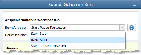 2021_3_wsgo_playbackbehavior_properties